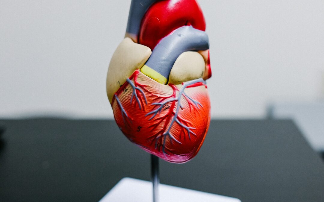 Télésurveillance de l’insuffisance cardiaque : définition et cadre réglementaire